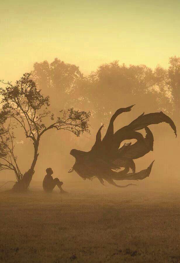 35990777_10160376087290316_6659235329456734208_n